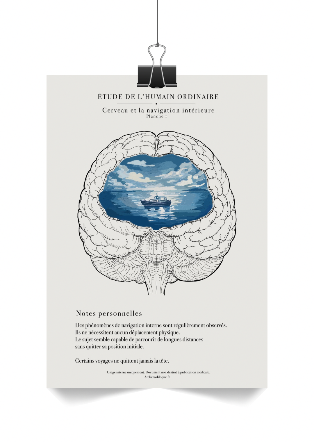 Cerveau et navigation intérieure