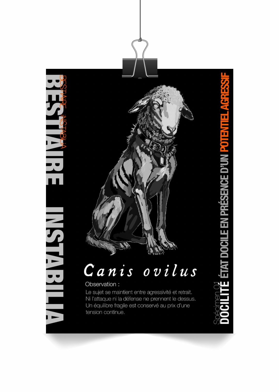 Canis ovilus