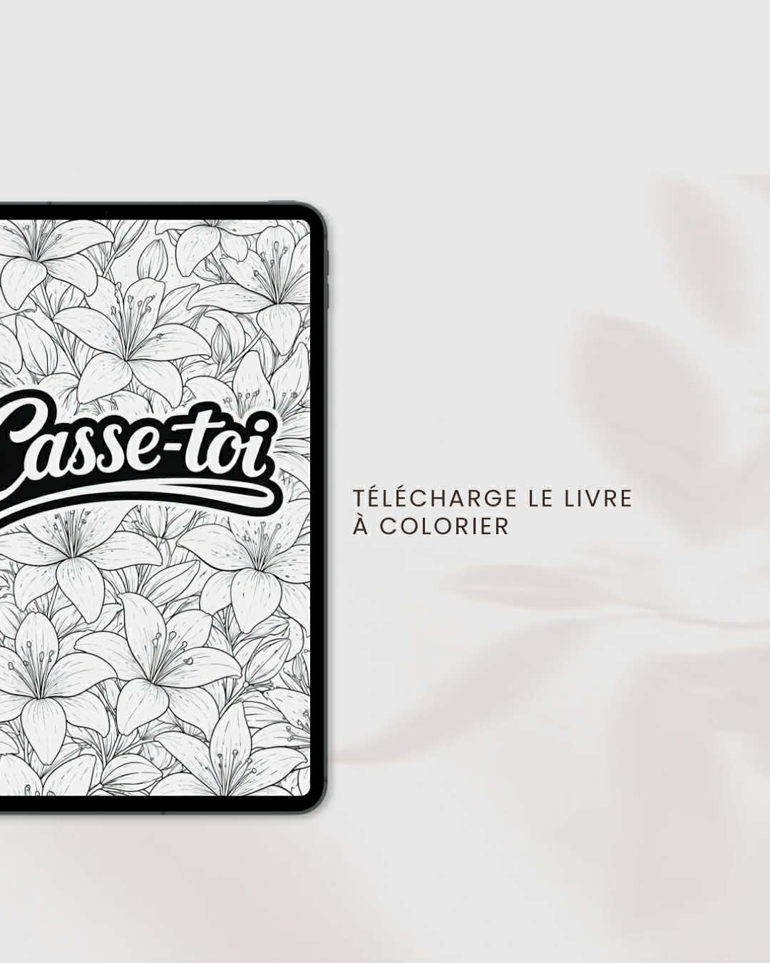 Comment foutre quelqu’un dehors, Le livre de coloriage pour adultes socialement fatigués.