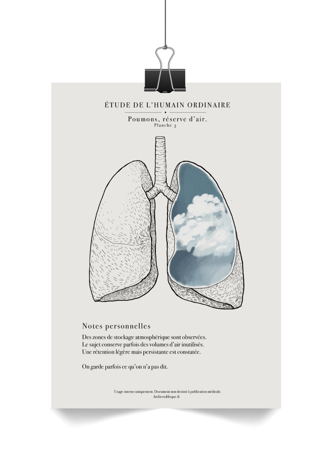 Poumons, réserve d’air.