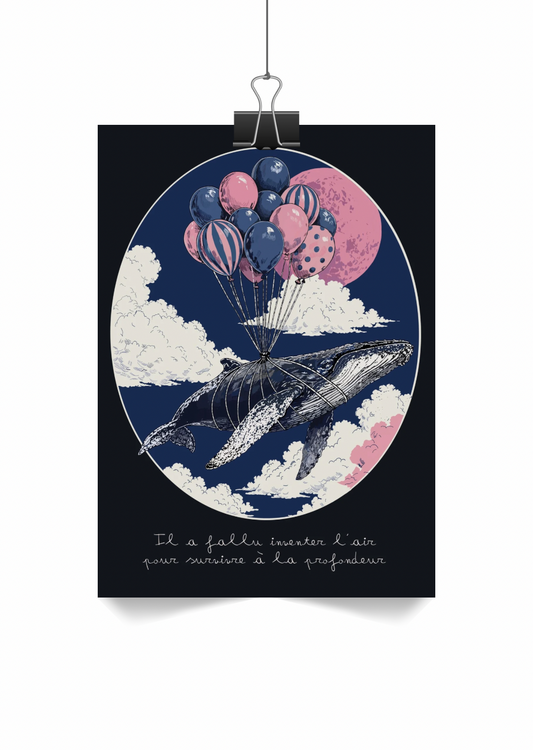 Baleine bleue